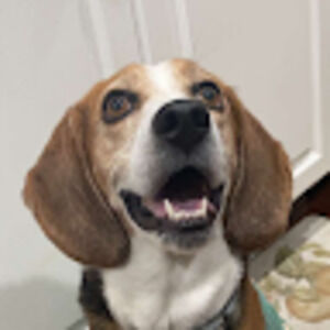 Meet your Posher, Esmeralda